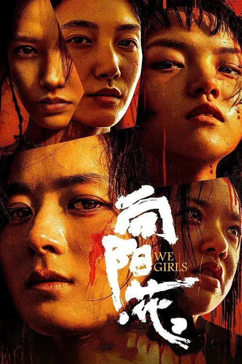 向阳花 综合