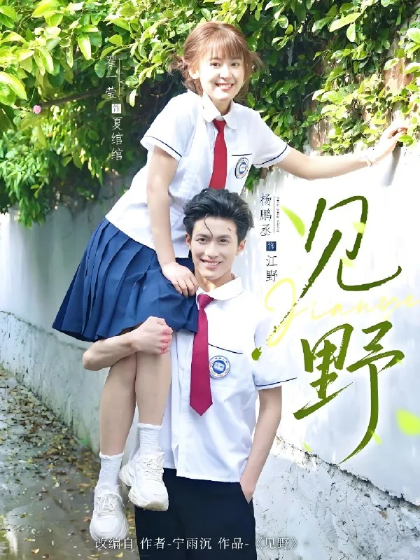 见野 综合