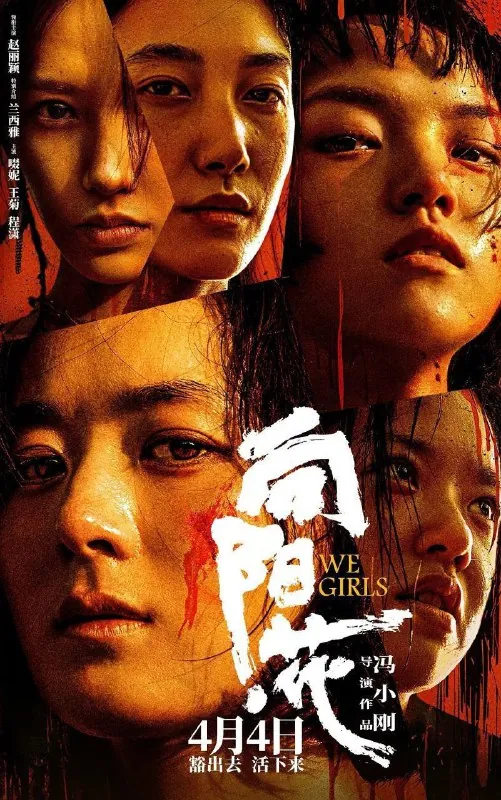 向阳花/向阳·花 综合