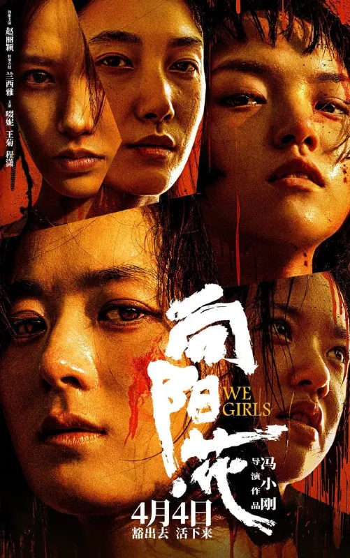 向阳花向阳·花 综合