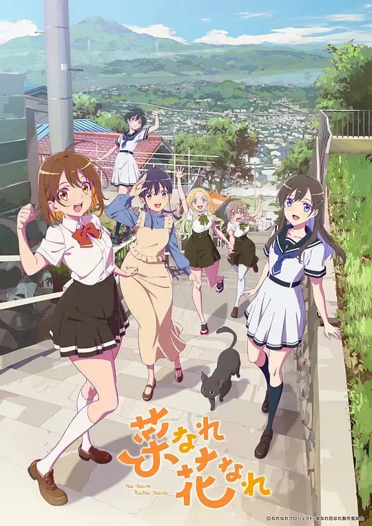 亦叶亦花菜なれ花なれ 综合