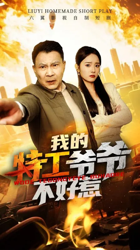 我的特工爷爷不好惹 综合