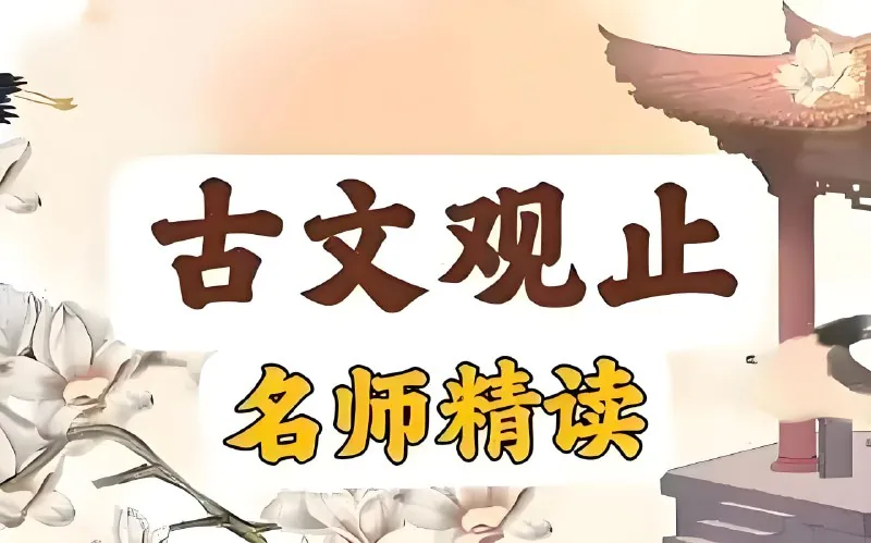 晓晓老师“古文观止”精读课 综合