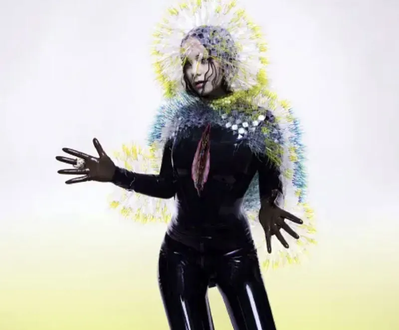 Björk-Vulnicura 音乐
